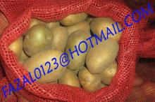 BANGLADESHI HIGH QUALITY FRESH GRANOLA POTATO AND DIAMOND POTATO FROM EXPORT TRADE ASSOCIATE WITH CH