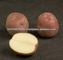 low sugar potato