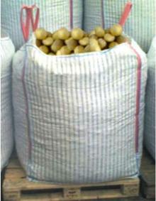 POTATO chips, frites 60 EUR/T AGATA