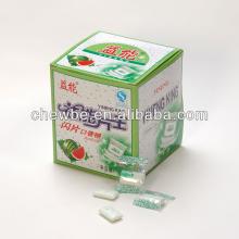 watermelon fruit bubble gum