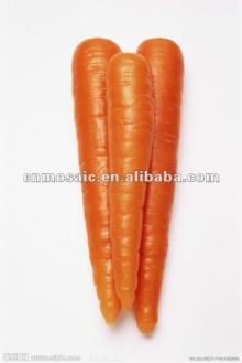 new crop chinese fresh carrots for sale