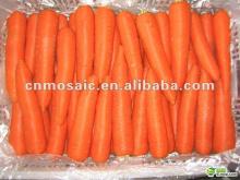 Natural Chinese fresh carrots for sale