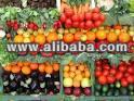 pakistan fresh Vegetables