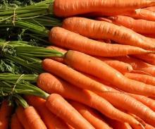 BEST PRICE fresh carrots(S,M,L,2L,3L) Top quality
