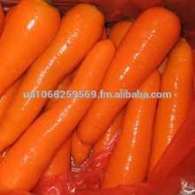 Ukraine Grade A Carrots At Competitive Prices