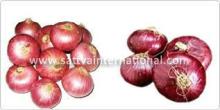 Fresh Onions