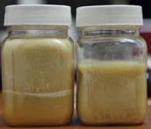 PFAD from Palm Oil