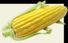 Refined Corn Cooking Oil