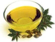 Offer Organic natural 100% purity Castor essential Oil