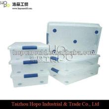 Plastic mold factory wholesale supply 2013 chewing gum plastic box mold