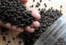  VIETNAM   BLACK   PEPPER  FOR EXPORT