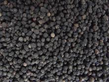 ROUND BLACK PEPPER 550gl AVAILABLE FOR SALE