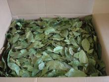Aniseed/ Fennel , Asafoetida , Basil, Bay Leaf, Cardamom, Carom seeds, thymol, Celery seeds, Cinnamo