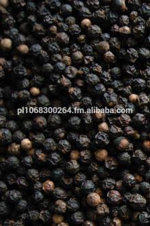 Hight Quality Black Pepper