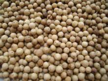  Vietnam   White   Pepper  and  Vietnam   White   Pepper  double washed
