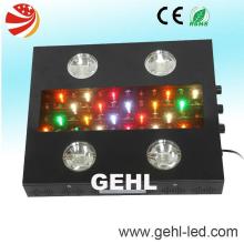 Full spectrum 600w Noah 4 led grow lights horticulture supply pepper/tomatoes/herbs