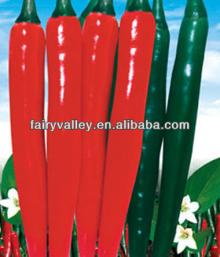 Red Around-Chinese Red Sharp Chili Pepper Seeds For Sale/Growing