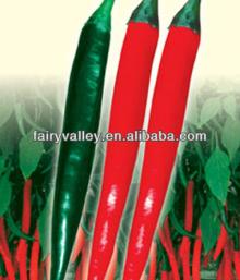 Autumn Brightness-Hot Pepper Seeds For Sale/Red Sharp Chili Seeds For Growing