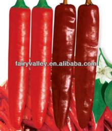 California 688-Hot Chili Seeds Pepper Seeds For Sale Special Variety For Dry Chilis