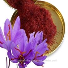 Saffron Extract 10