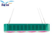 cultivation of black pepper used 140w  solar  led grow lights Canada