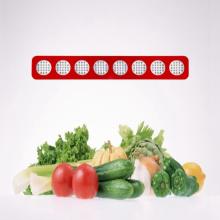 black pepper plant growing 3w epistar 2w diodes led grow light 300w