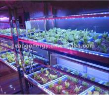 waterproof,pure aluminum shell,DC12v intelligent  led  grow tube  best  for black pepper farming