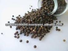 Wholesale Supplier Of Pure Black Pepper Seed Oil In USA