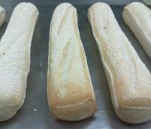 panini / half bagel - bread roll - frozen