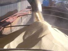 cane sugar ic45