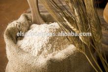 Bakery Flour