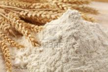 All Purpose Wheat Flour