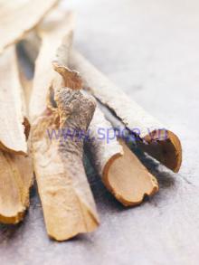  cassia  and  cinnamon 