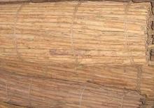 Ceylon Cinnamon