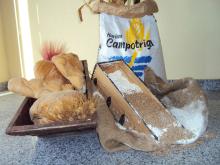 Campotrigal: Wheat Flour for export