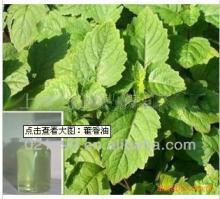Cinnamon Bark Essential Oil Manufactrer