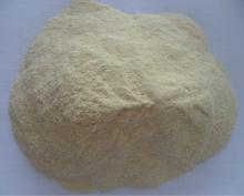 Durum Semolina