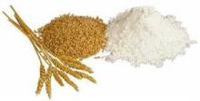  Semolina  ,  wheat   flour  supplier