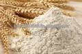 High quality and high protein wheat flour