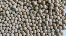 Yellow peas