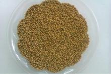 yellow and red millet