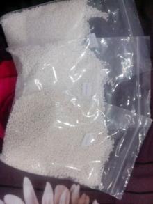 Sago Seeds Super White