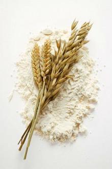 whole wheat flour