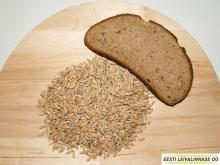 Unfermented (white) rye malt grain