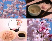 rose Cherry tree buckwheat noodles