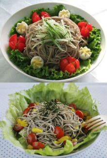  connector  Organic Izumo buckwheat noodles