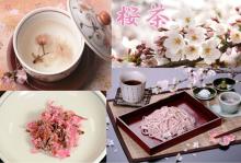 japanese cherry blossom tea Cherry tree buckwheat noodles