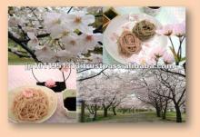 Cherry tree buckwheat noodles cherry blossom viewing