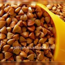 New Roasted Buckwheat Kernel 2012 ,China Origin