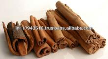 Pure Natural Cinnamon Oil